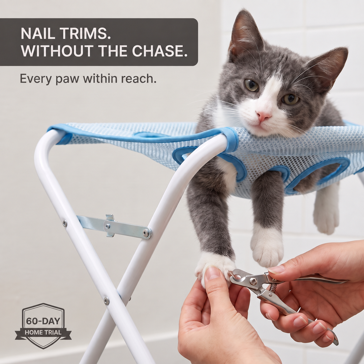 Ostéane™ Pet Grooming Stand