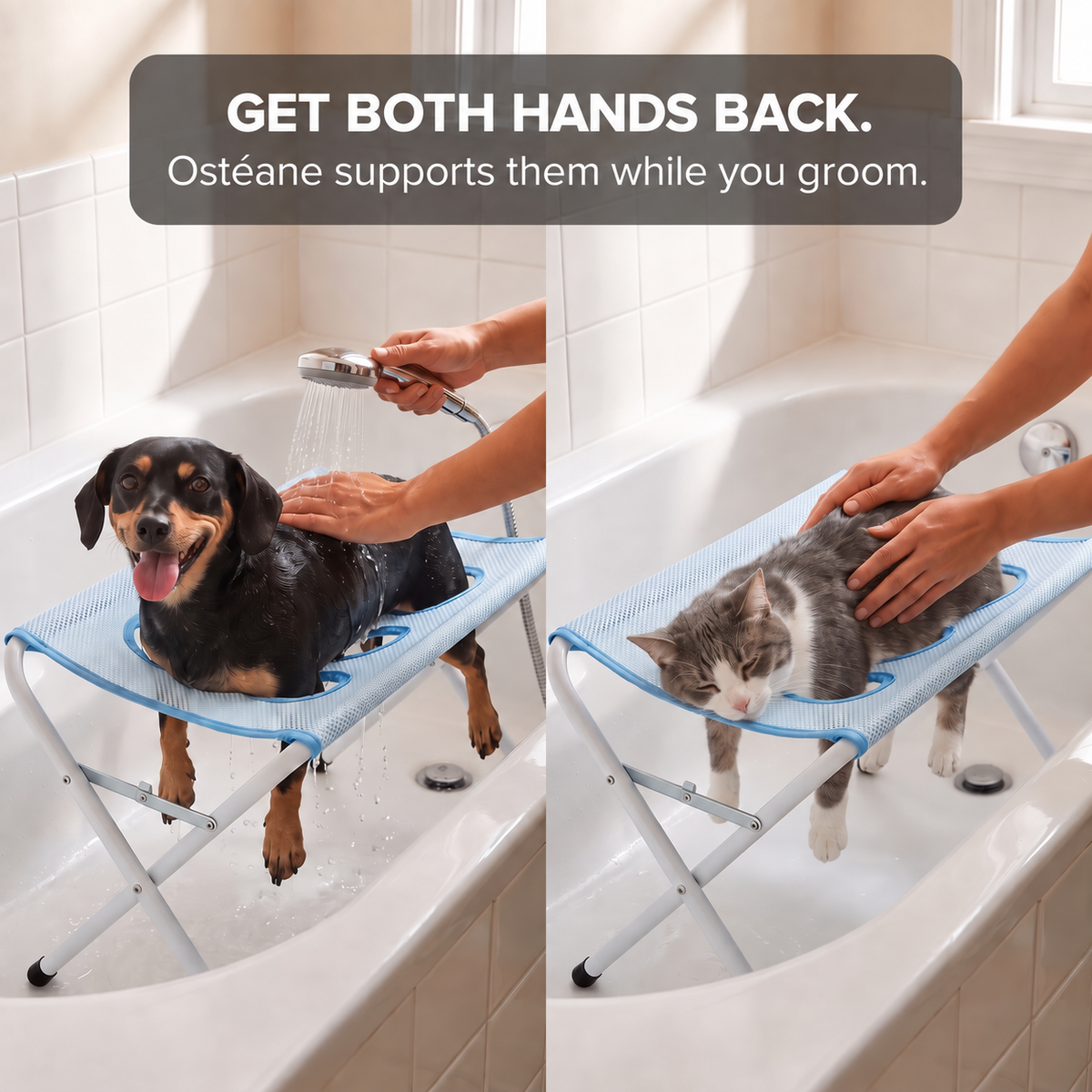 Ostéane™ Pet Grooming Stand
