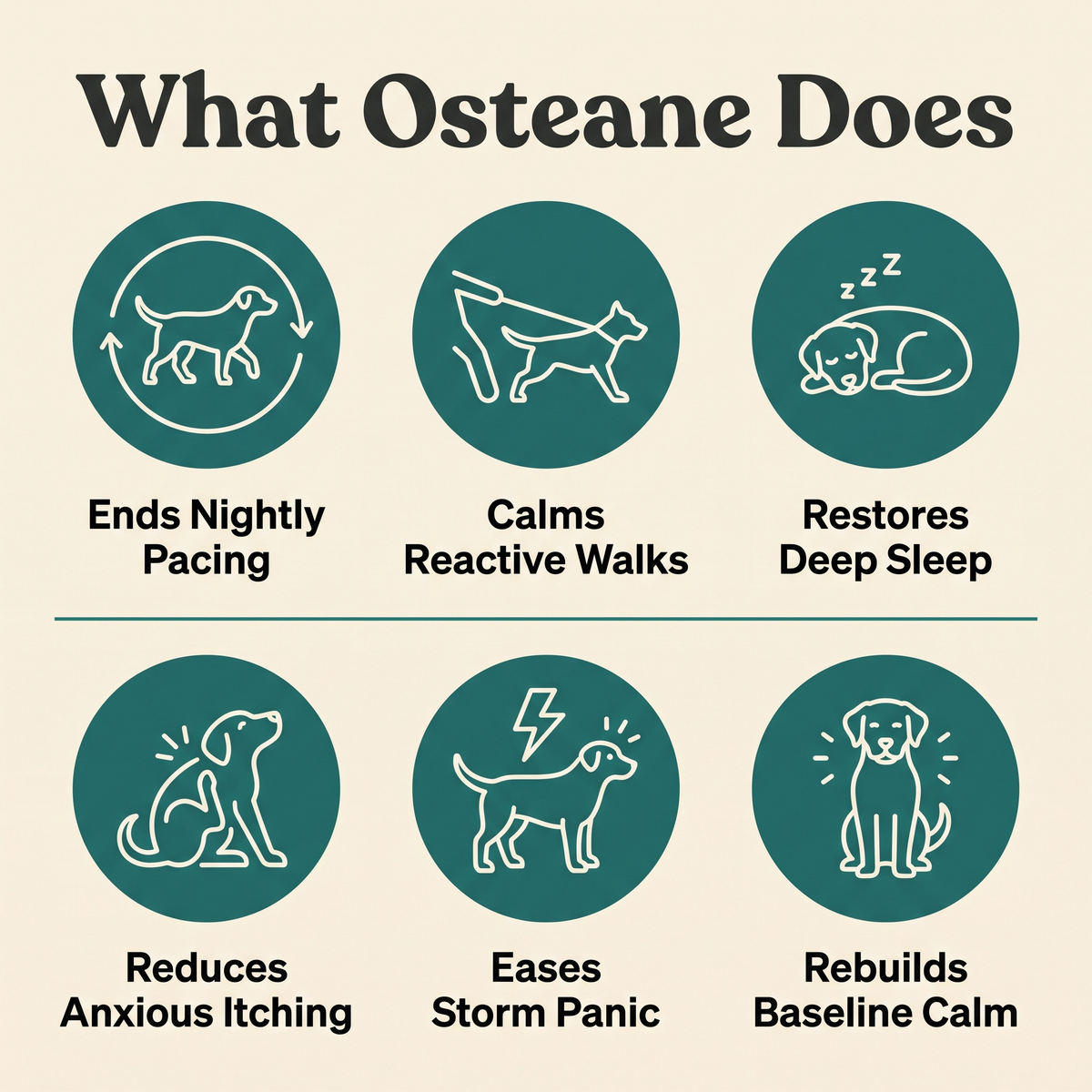 Osteane Chews